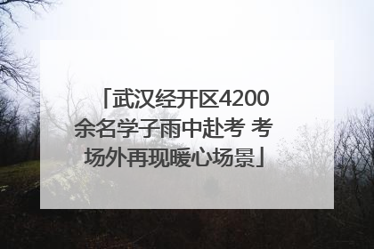 武汉经开区4200余名学子雨中赴考 考场外再现暖心场景