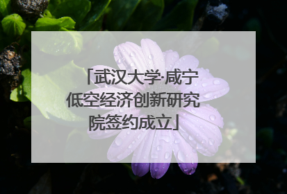 武汉大学·咸宁低空经济创新研究院签约成立