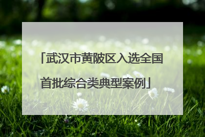 武汉市黄陂区入选全国首批综合类典型案例