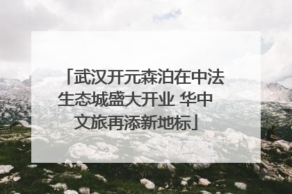 武汉开元森泊在中法生态城盛大开业 华中文旅再添新地标