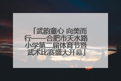 武韵童心 向美而行——合肥市天水路小学第二届体育节暨武术比赛盛大开幕
