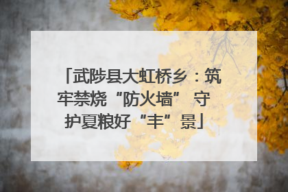武陟县大虹桥乡：筑牢禁烧“防火墙” 守护夏粮好“丰”景