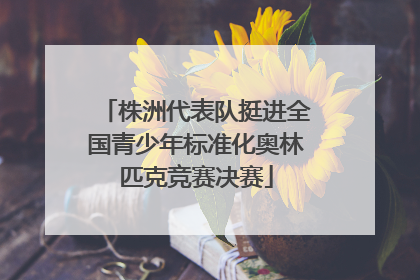 株洲代表队挺进全国青少年标准化奥林匹克竞赛决赛
