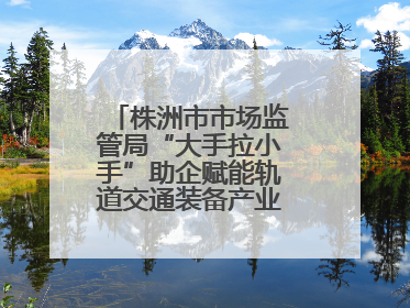 株洲市市场监管局“大手拉小手”助企赋能轨道交通装备产业链质量升级