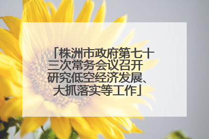 株洲市政府第七十三次常务会议召开 研究低空经济发展、大抓落实等工作