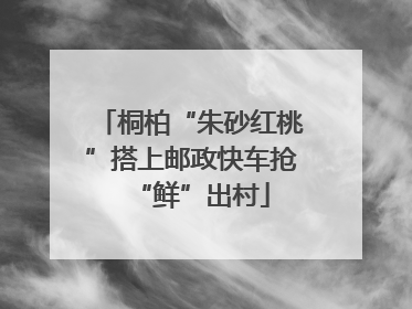 桐柏“朱砂红桃”搭上邮政快车抢“鲜”出村