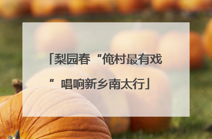 梨园春“俺村最有戏”唱响新乡南太行
