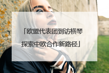 欧盟代表团到访横琴 探索中欧合作新路径