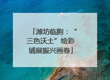 潍坊临朐：“三色沃土”绘彩铺展振兴画卷
