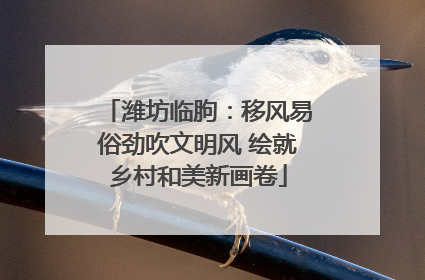 潍坊临朐：移风易俗劲吹文明风 绘就乡村和美新画卷