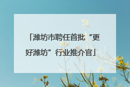 潍坊市聘任首批“更好潍坊”行业推介官