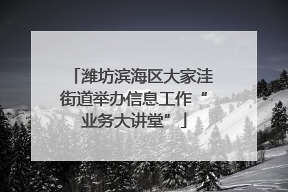 潍坊滨海区大家洼街道举办信息工作“业务大讲堂”
