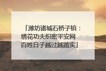 潍坊诸城石桥子镇：绣花功夫织密平安网 百姓日子越过越踏实