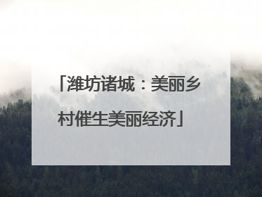 潍坊诸城：美丽乡村催生美丽经济