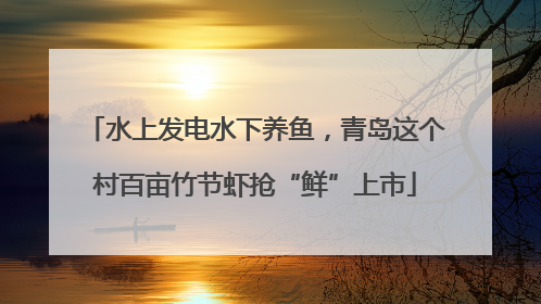 水上发电水下养鱼，青岛这个村百亩竹节虾抢“鲜”上市