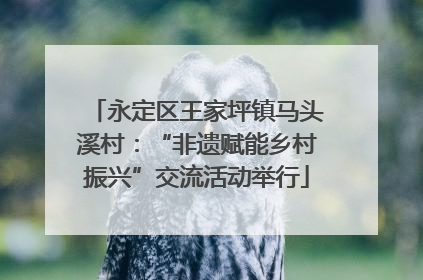 永定区王家坪镇马头溪村：“非遗赋能乡村振兴”交流活动举行