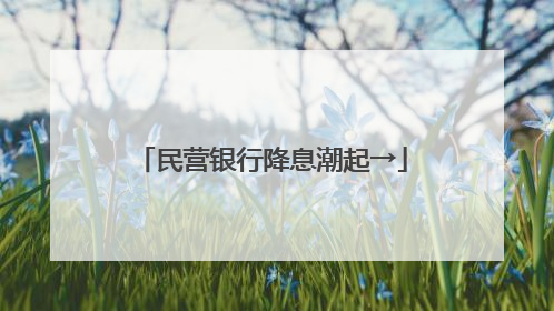 民营银行降息潮起→
