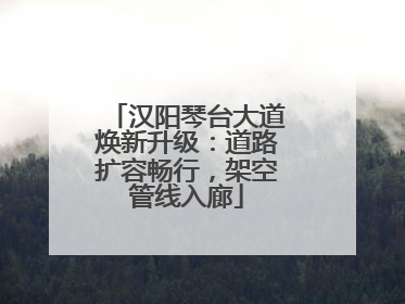 汉阳琴台大道焕新升级：道路扩容畅行，架空管线入廊