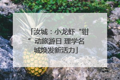 汝城：小龙虾“钳”动旅游日 理学名城焕发新活力