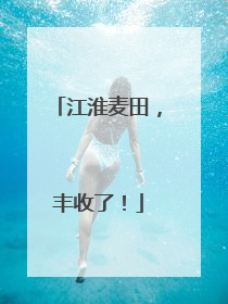 江淮麦田，丰收了！