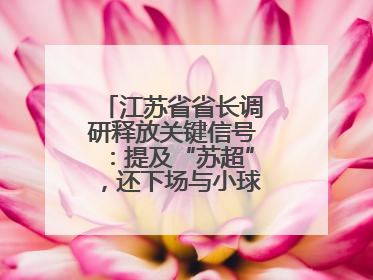 江苏省省长调研释放关键信号：提及“苏超”，还下场与小球员踢球互动