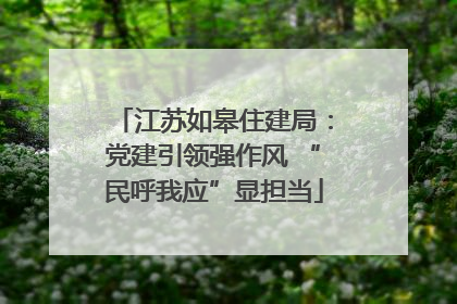 江苏如皋住建局：党建引领强作风 “民呼我应”显担当