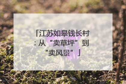 江苏如皋钱长村：从“卖草坪”到“卖风景”