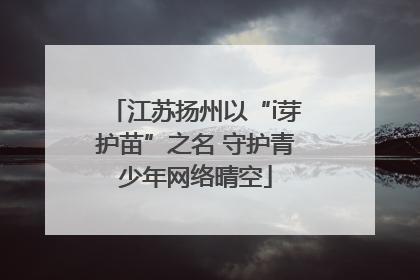 江苏扬州以“i芽护苗”之名 守护青少年网络晴空