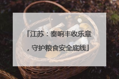 江苏：奏响丰收乐章，守护粮食安全底线