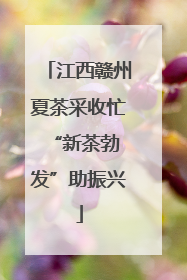 江西赣州夏茶采收忙 “新茶勃发”助振兴