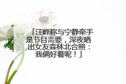汪峰称与宁静牵手是节目需要，深夜晒出女友森林北合照：我俩好着呢！