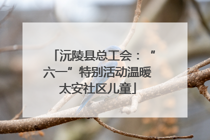 沅陵县总工会：“六一”特别活动温暖太安社区儿童