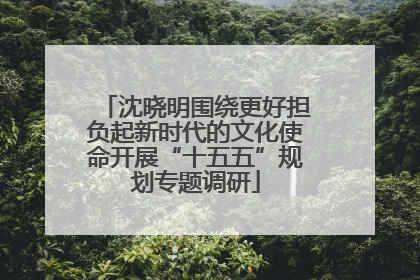 沈晓明围绕更好担负起新时代的文化使命开展“十五五”规划专题调研