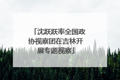 沈跃跃率全国政协视察团在吉林开展专题视察