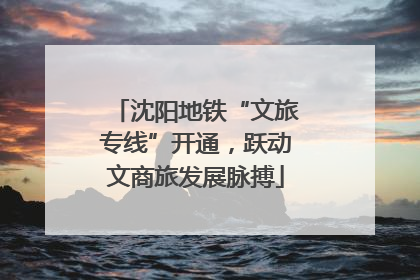沈阳地铁“文旅专线”开通，跃动文商旅发展脉搏