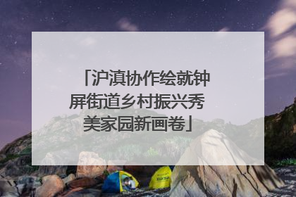沪滇协作绘就钟屏街道乡村振兴秀美家园新画卷