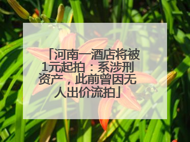 河南一酒店将被1元起拍：系涉刑资产，此前曾因无人出价流拍