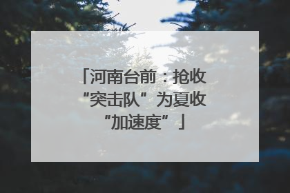 河南台前：抢收“突击队”为夏收“加速度”