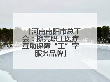 河南南阳市总工会：擦亮职工医疗互助保障“工”字服务品牌