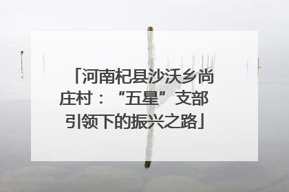 河南杞县沙沃乡尚庄村：“五星”支部引领下的振兴之路