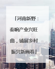 河南新野：奏响产业兴旺曲，铺展乡村振兴新画卷