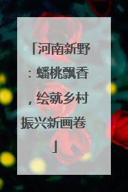 河南新野：蟠桃飘香，绘就乡村振兴新画卷