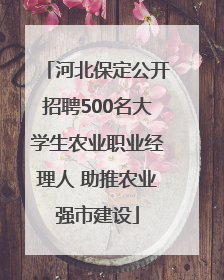 河北保定公开招聘500名大学生农业职业经理人 助推农业强市建设
