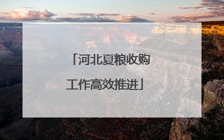 河北夏粮收购工作高效推进