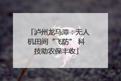 泸州龙马潭：无人机田间“飞防” 科技助农保丰收