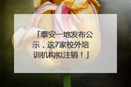 泰安一地发布公示，这7家校外培训机构拟注销！