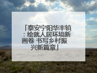 泰安宁阳华丰镇：绘就人居环境新画卷 书写乡村振兴新篇章