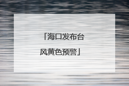 海口发布台风黄色预警