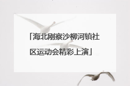 海北刚察沙柳河镇社区运动会精彩上演