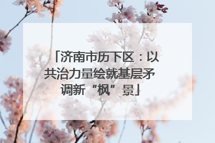 济南市历下区：以共治力量绘就基层矛调新“枫”景